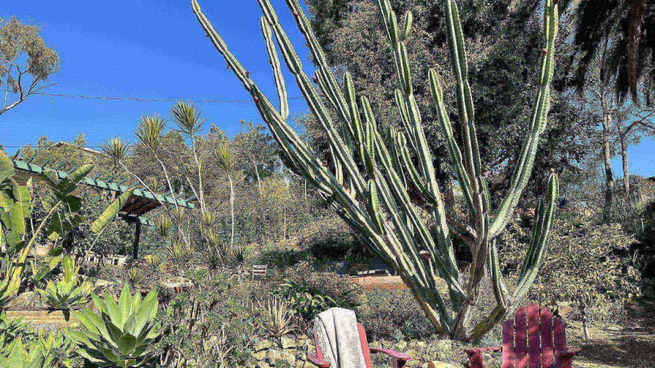 Photo of Outdoor in Hollywood