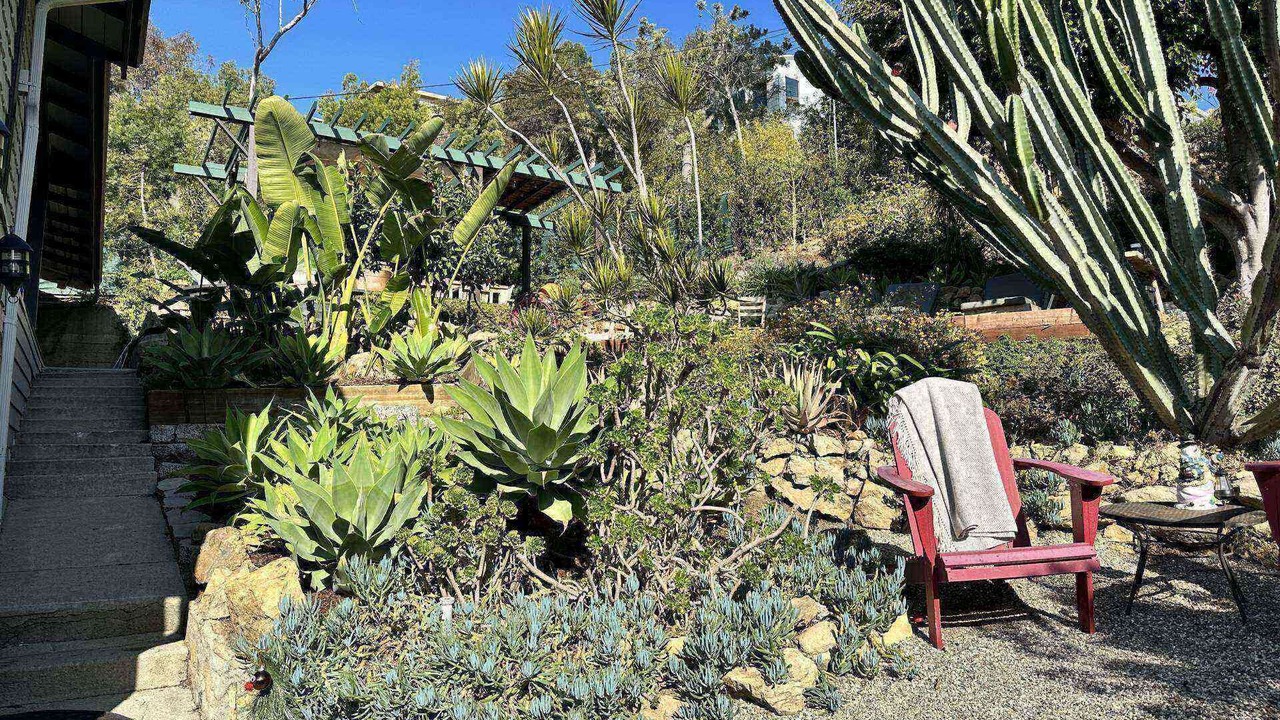 Photo of Outdoor in Hollywood