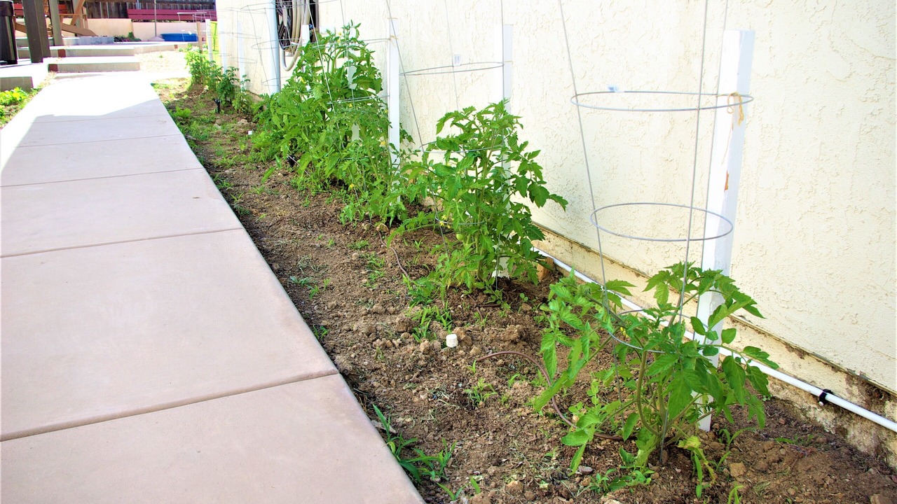 Photo of Outdoor in Mira Mesa