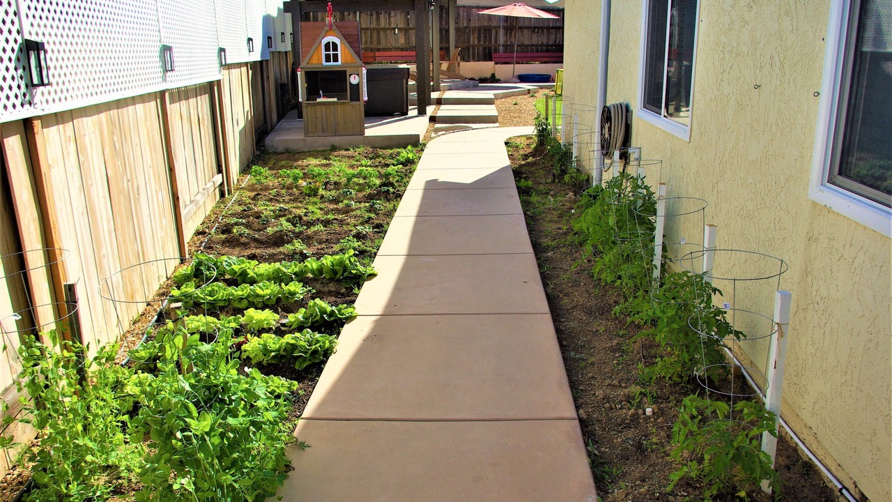 Photo of Outdoor in Mira Mesa