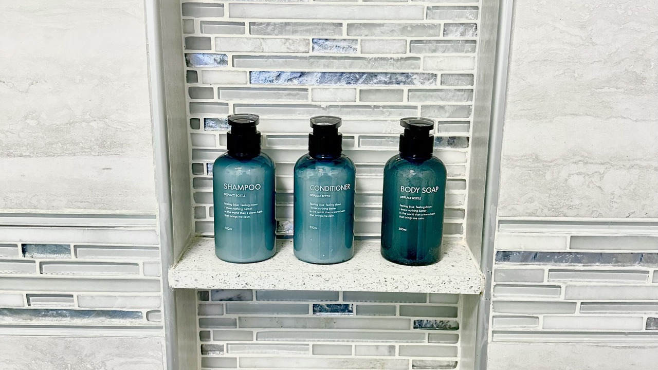 Photo of Bathroom in Lake Balboa