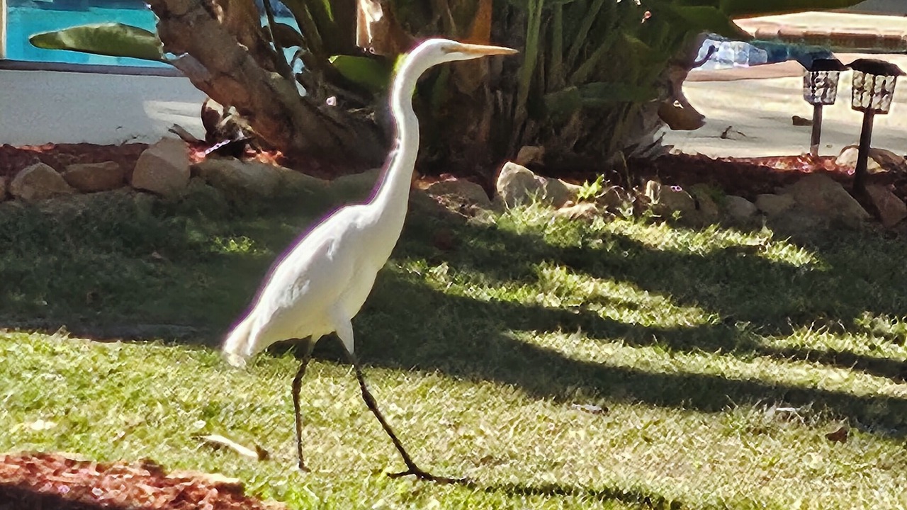 Photo of Others in La Mesa