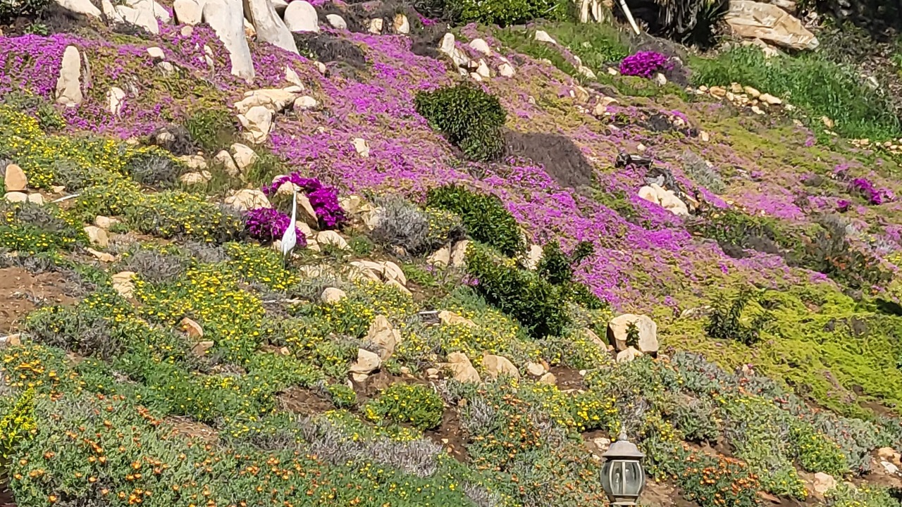 Photo of Outdoor in La Mesa