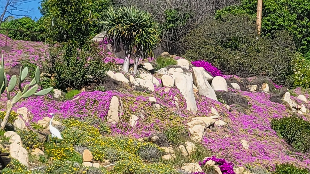 Photo of Outdoor in La Mesa