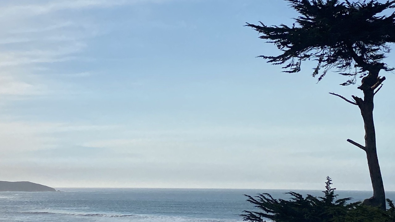 Photo of Others in Dillon Beach
