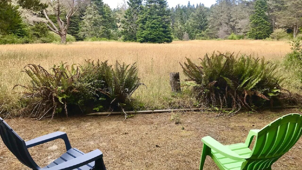 Photo of Others in Mendocino