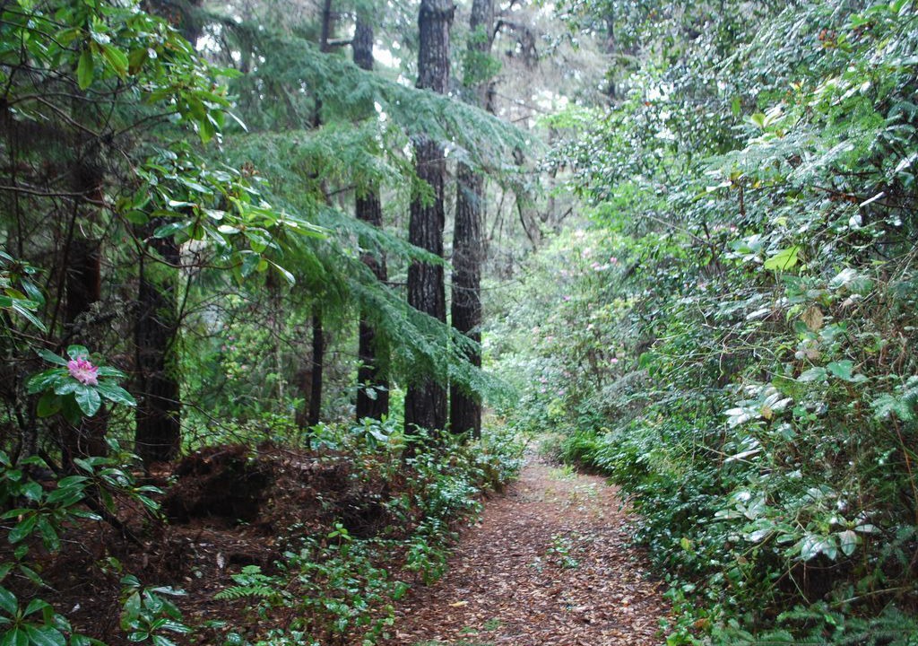 Photo of Others in Mendocino