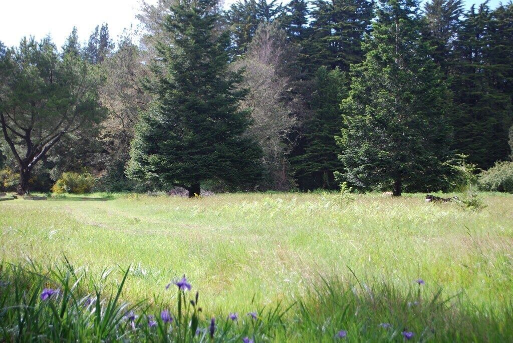 Photo of Others in Mendocino