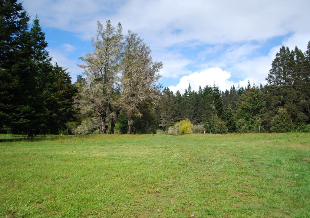 Photo of Others in Mendocino