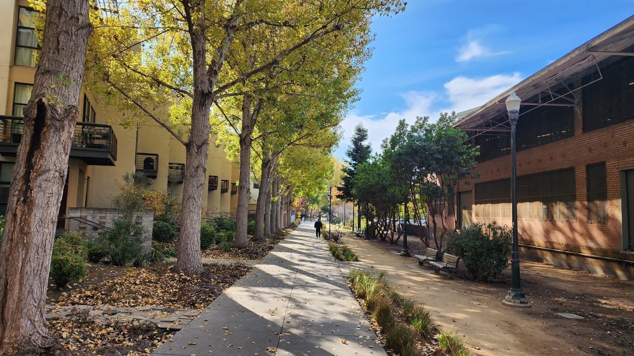 Photo of Outdoor in Southwest Berkeley
