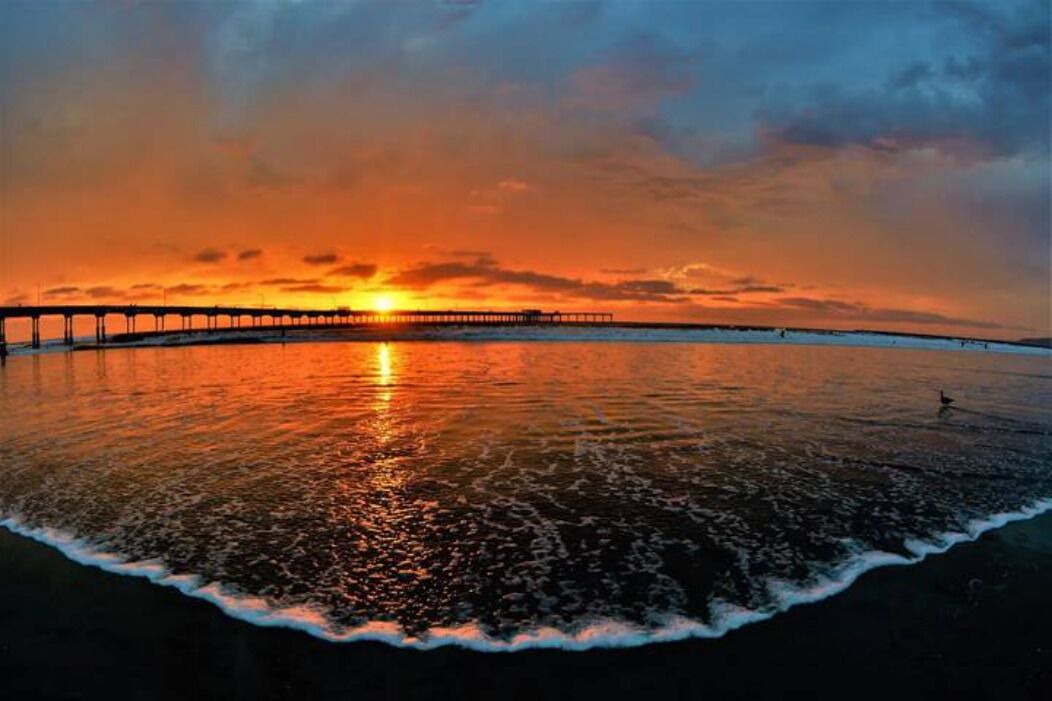 Photo of Others in Mission Beach
