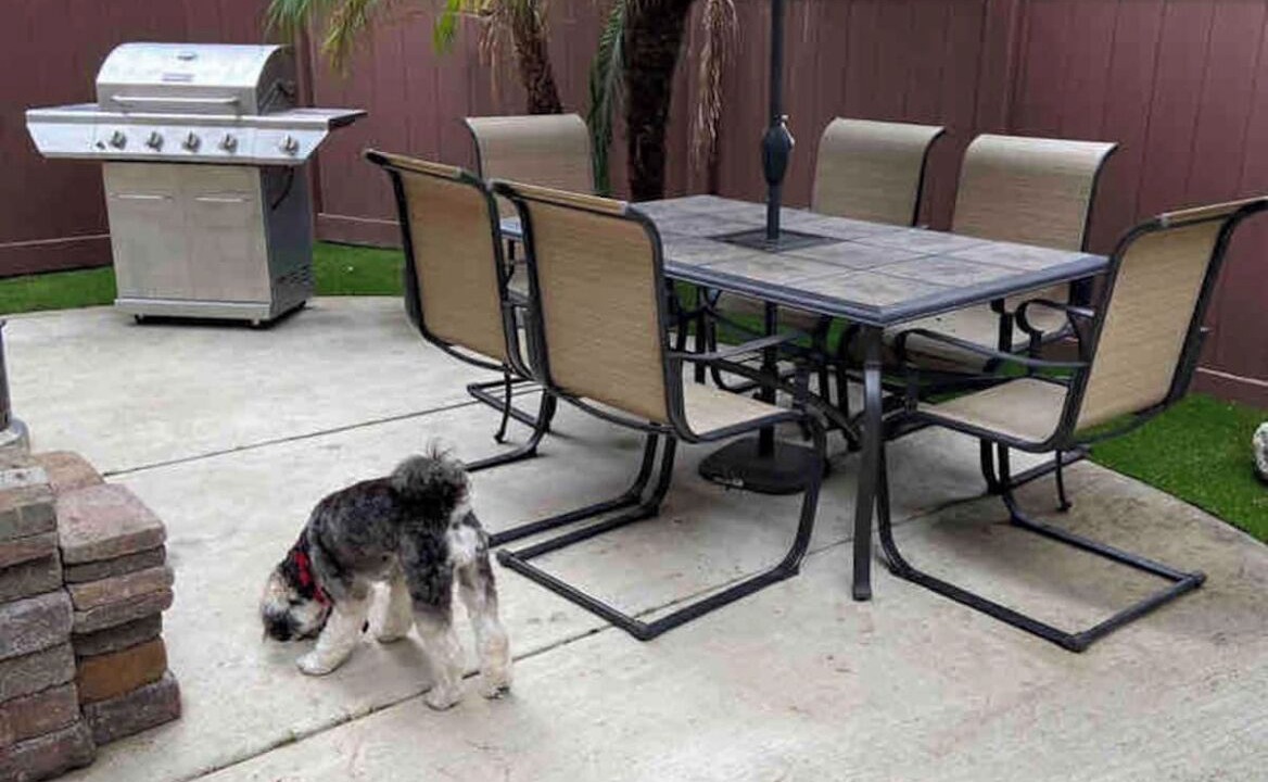 Photo of Outdoor in East Side Costa Mesa