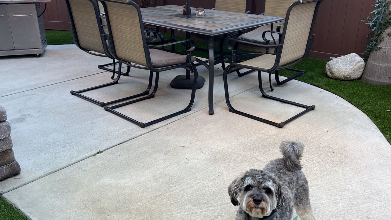 Photo of Outdoor in East Side Costa Mesa