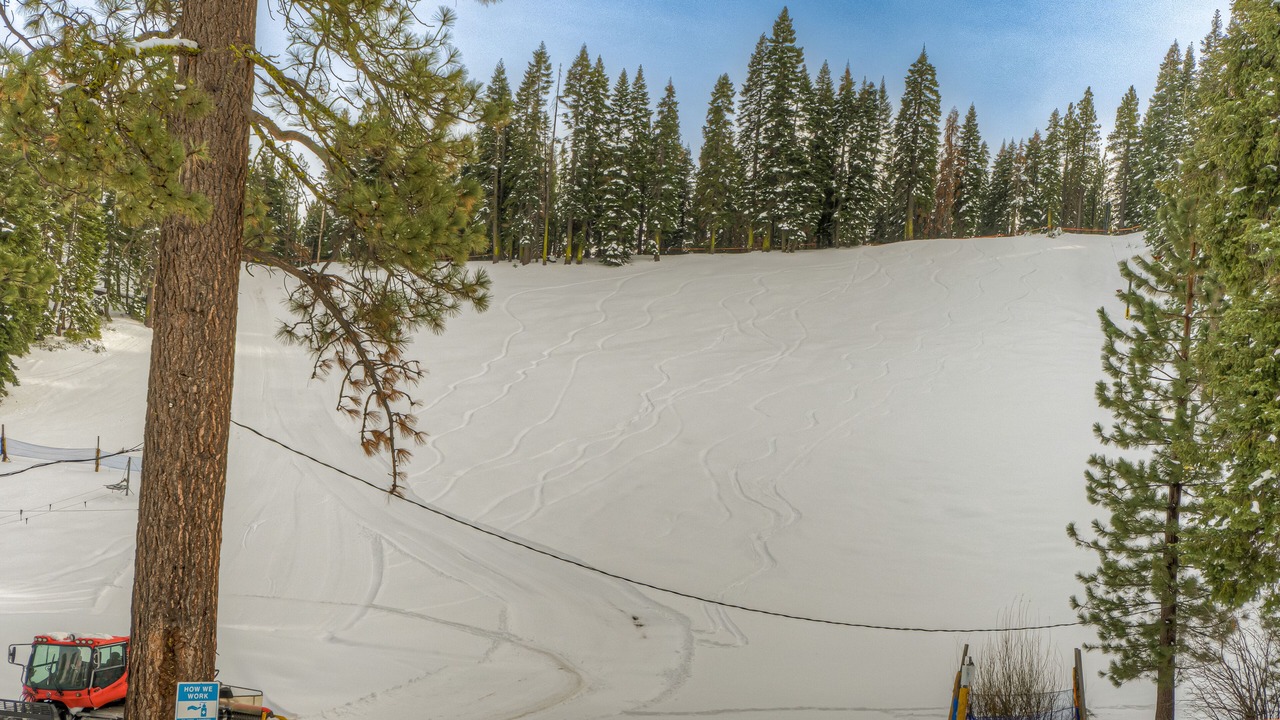 Photo of Others in Tahoe Woods