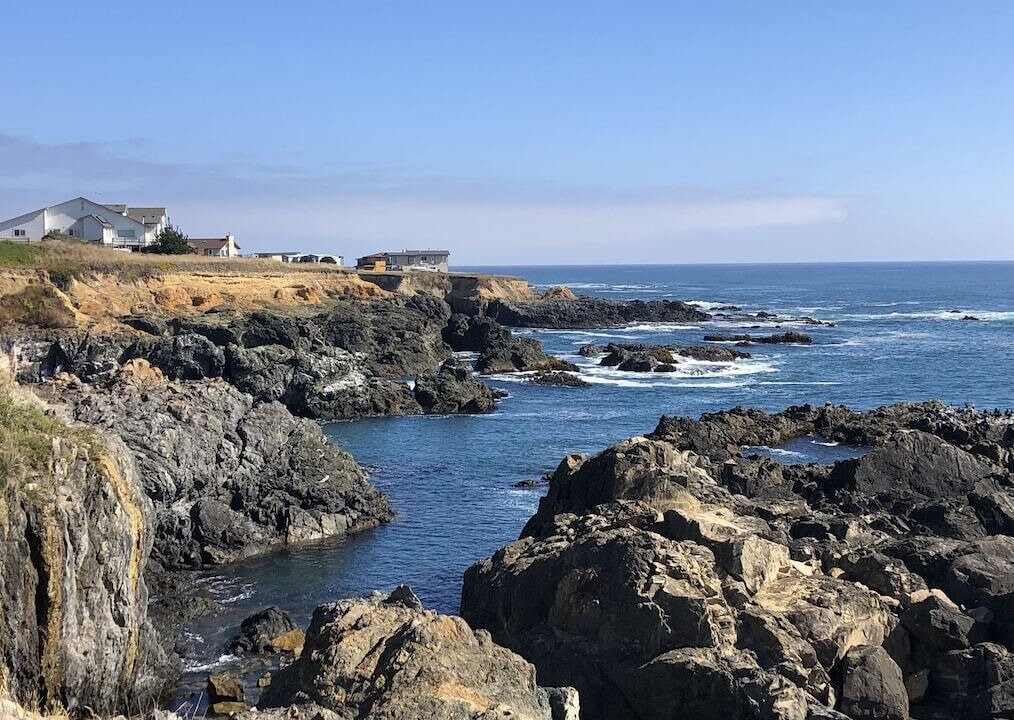 Photo of Others in Shelter Cove