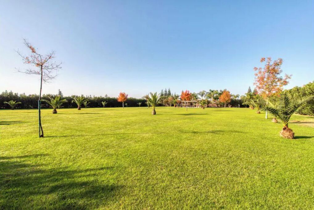 Photo of Outdoor in Reedley