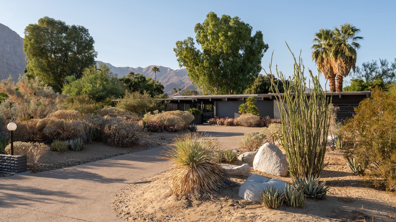 Photo of Outdoor in Borrego Springs