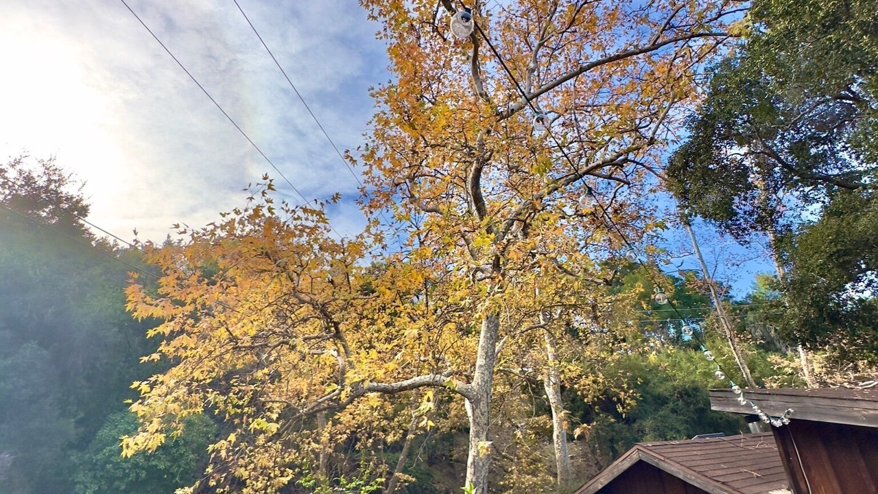 Photo of Outdoor in Topanga