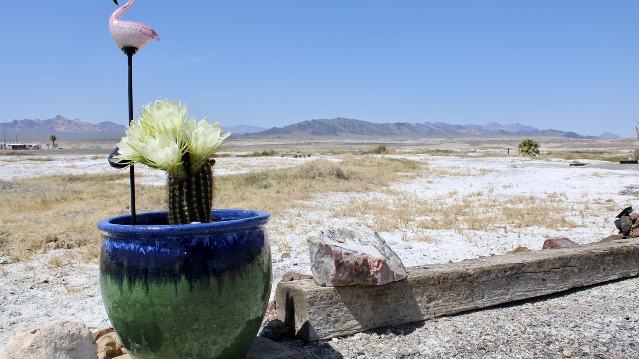 Photo of Others in Tecopa