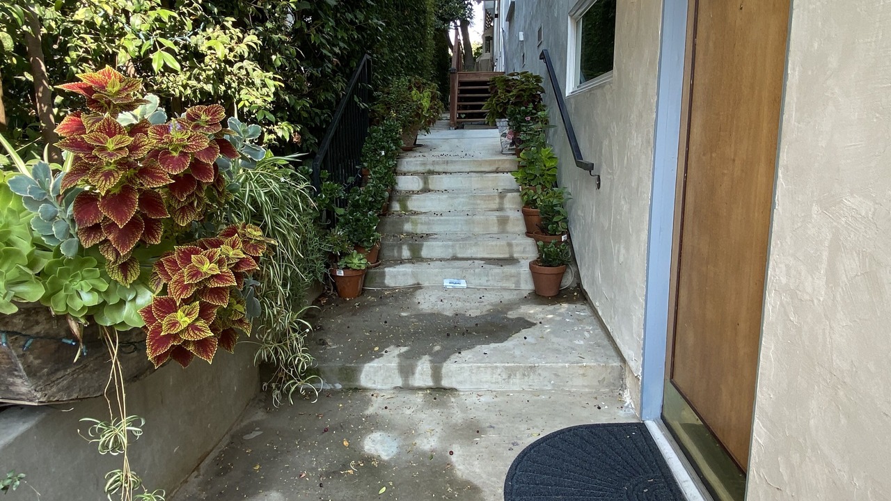 Photo of Outdoor in Westwood