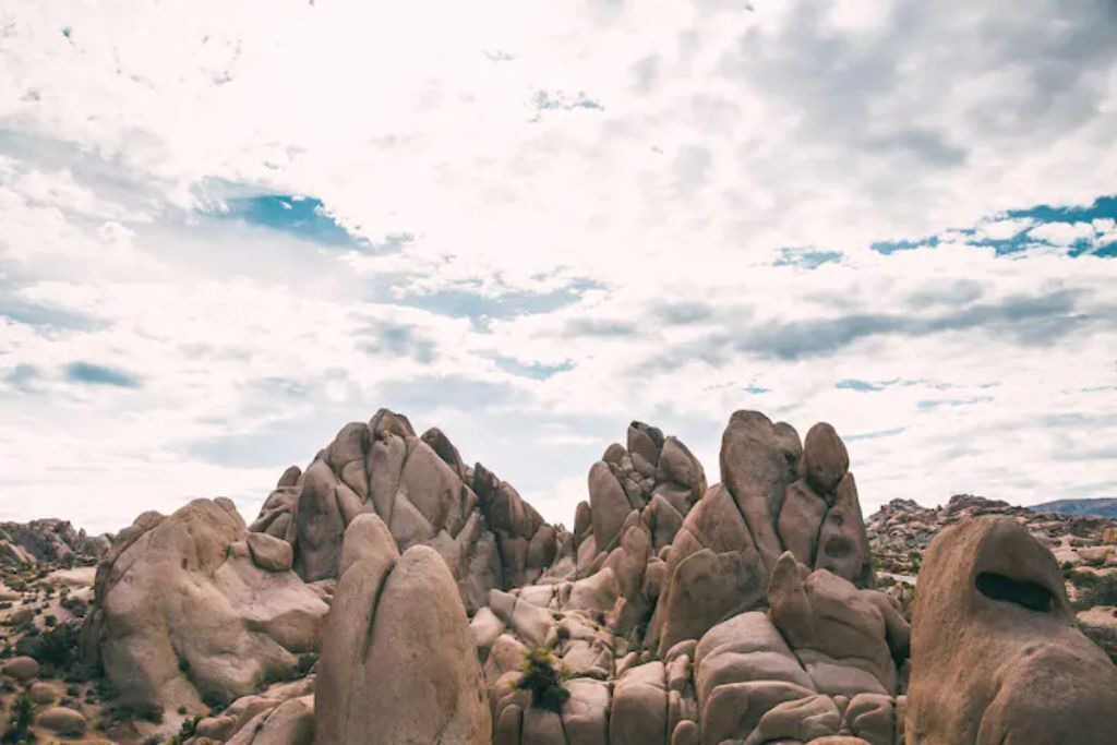 Photo of Others in Twentynine Palms