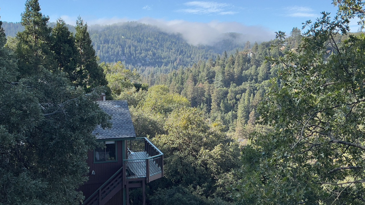 Photo of Others in Crestline