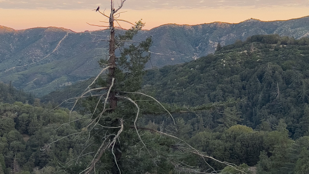 Photo of Others in Crestline