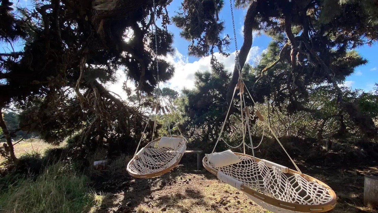Photo of Outdoor in Point Arena