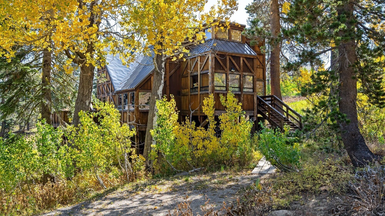 Photo of Others in Bear Valley