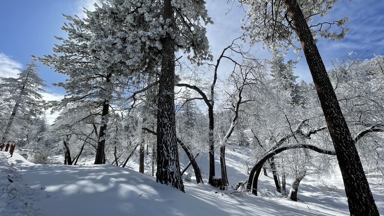 Photo of Others in Tehachapi