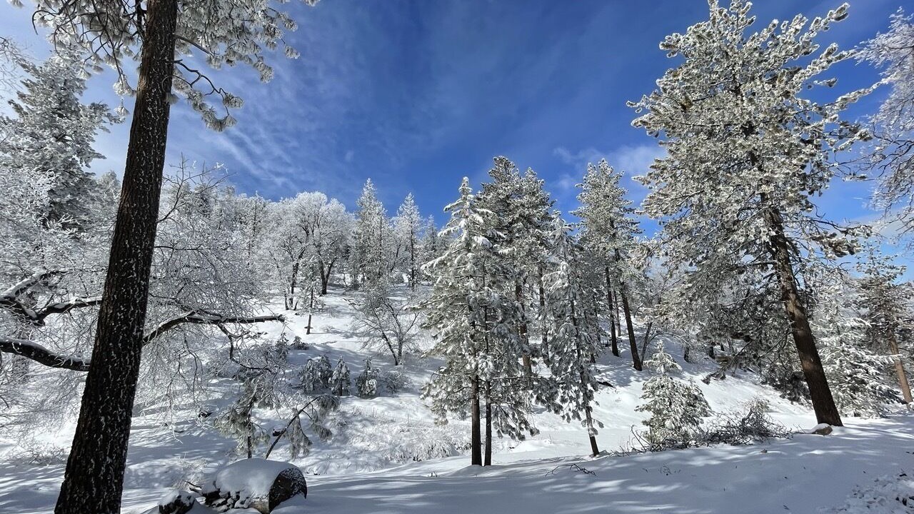 Photo of Others in Tehachapi