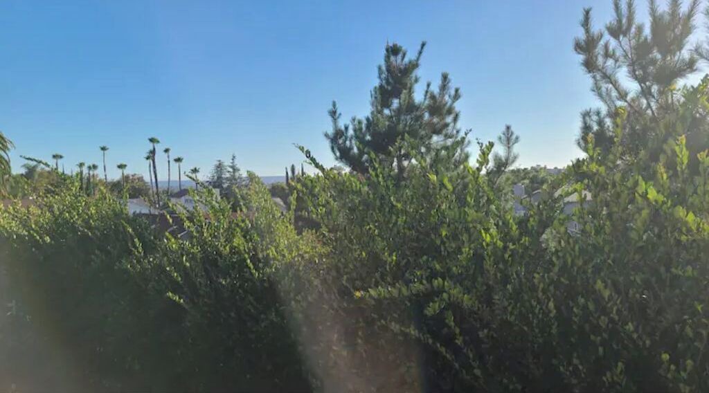 Photo of Others in Mission Viejo