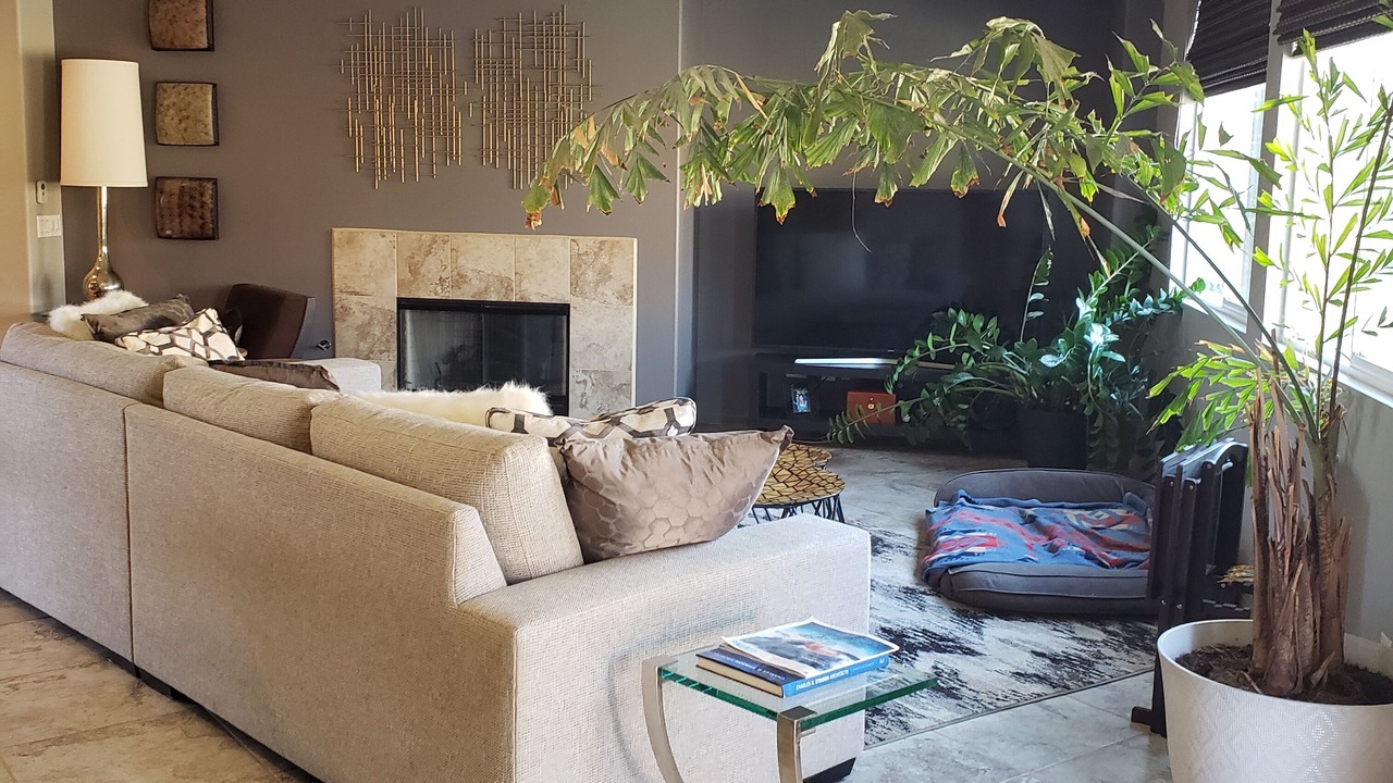 Photo of Livingroom in Paradiso