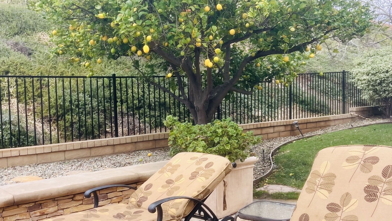 Photo of Patio Balcony in Simi Valley