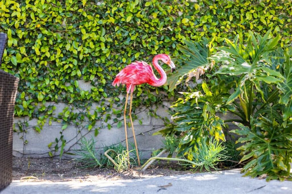 Photo of Outdoor in North Hollywood