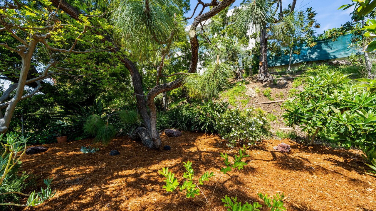 Photo of Outdoor in Studio City