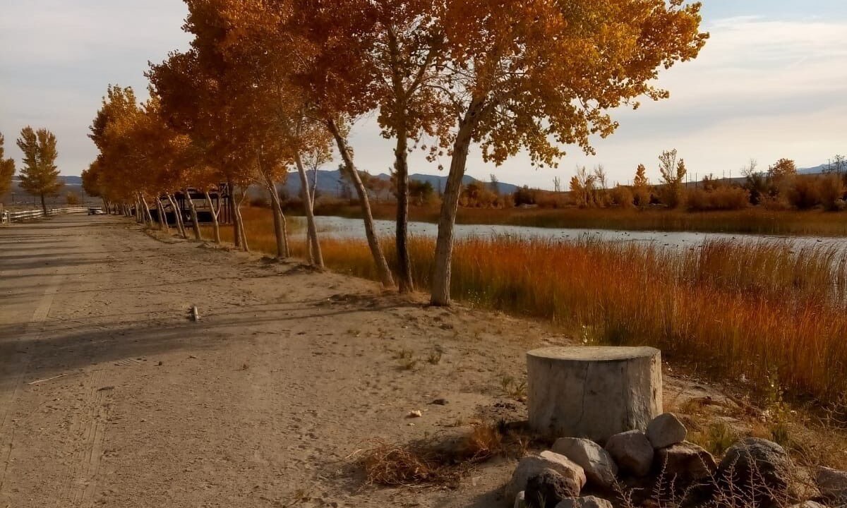 Photo of Outdoor in Olancha