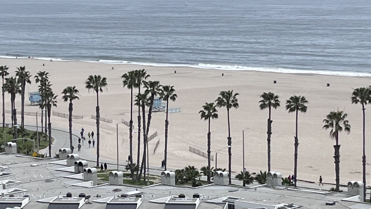 Photo of Others in Ocean Park