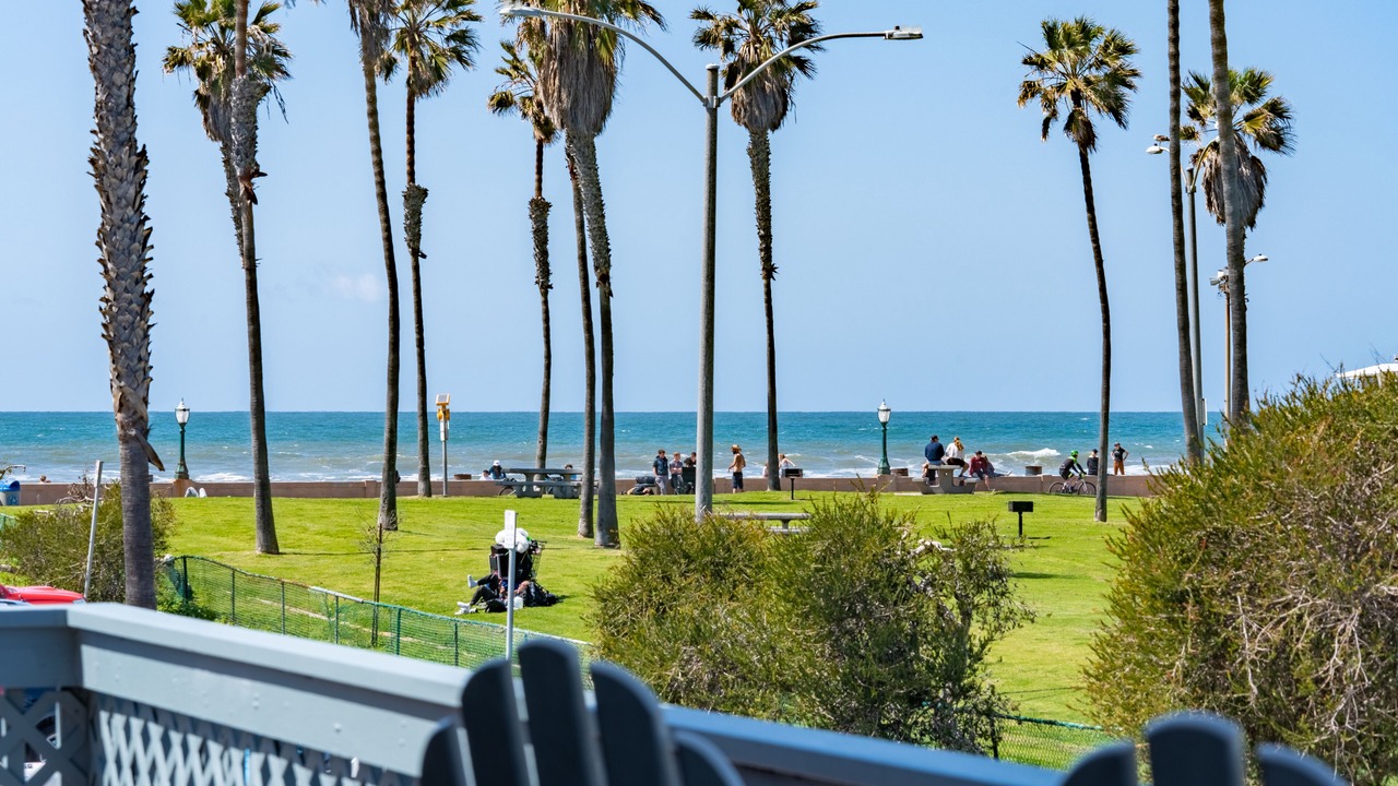 Photo of Outdoor in South Mission Beach