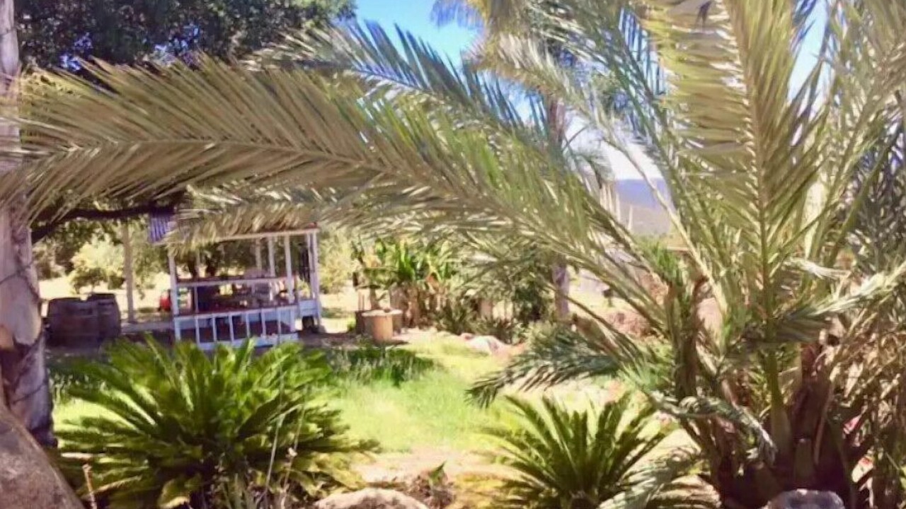 Photo of Outdoor in Pauma Valley