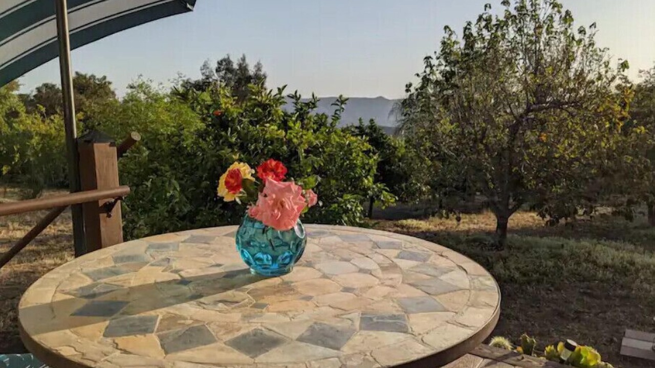 Photo of Outdoor in Pauma Valley