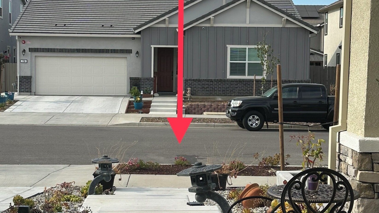 Photo of Outdoor in Nut Tree
