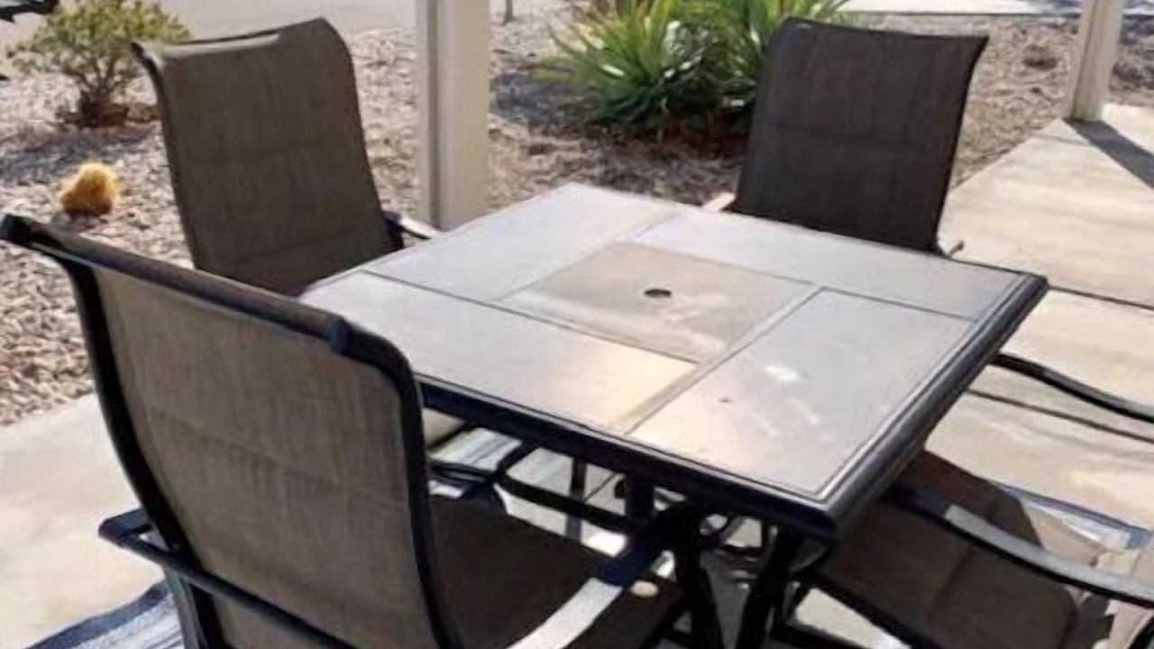 Photo of Outdoor in Needles