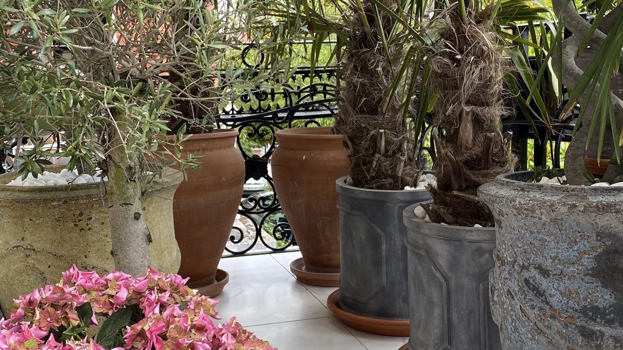 Photo of Outdoor in South Hampstead