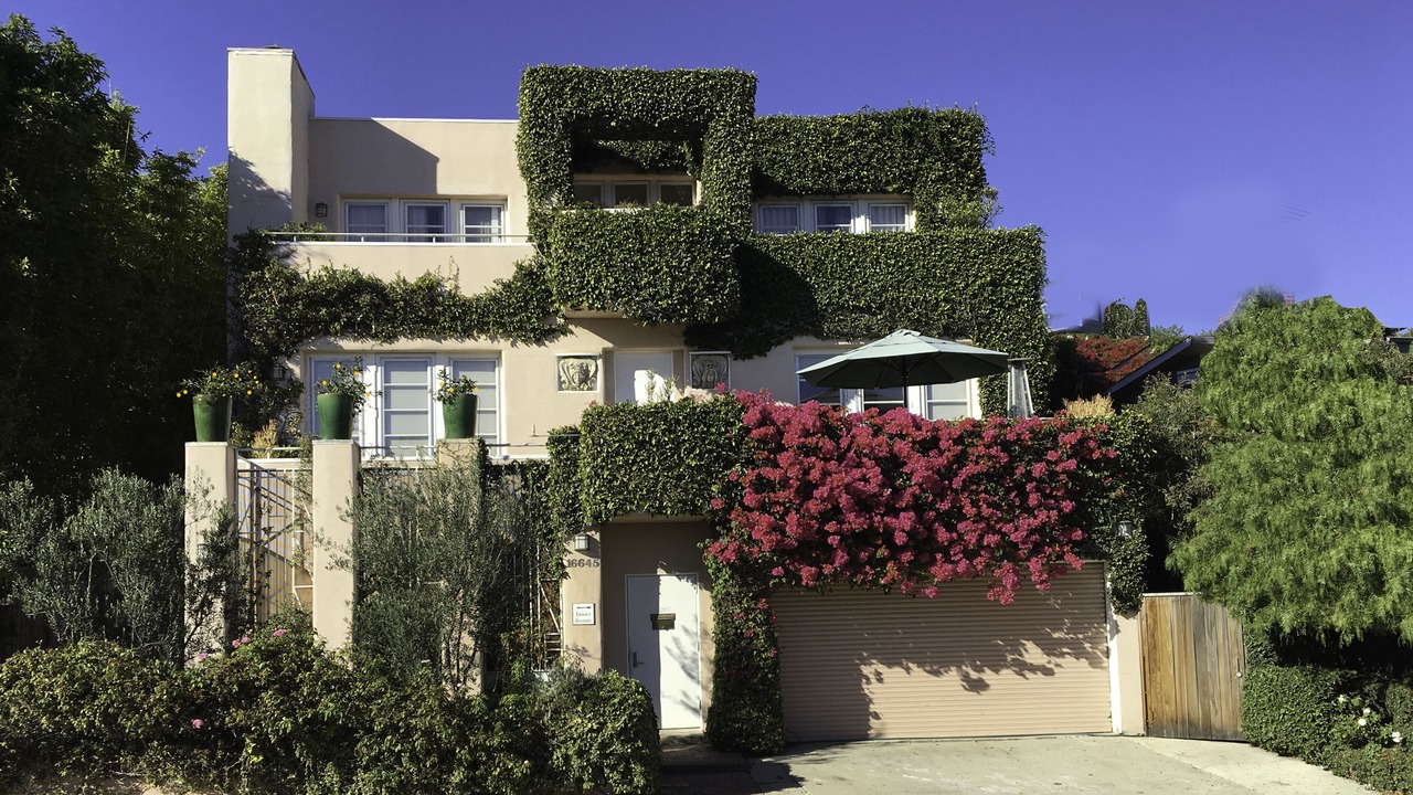 Photo of Outdoor in Pacific Palisades