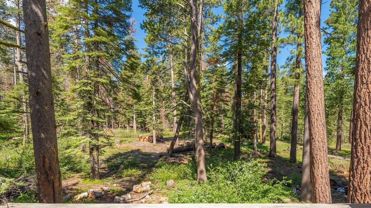 Photo of Others in Tahoma