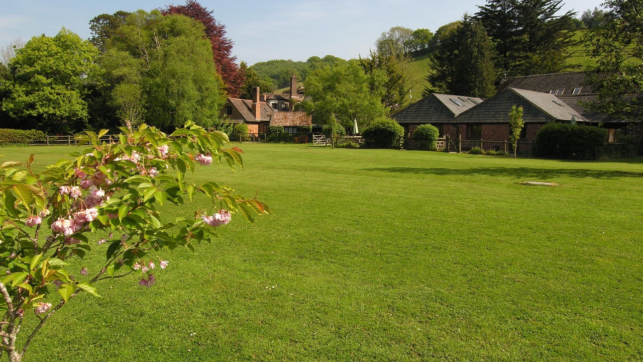 Photo of Outdoor in Minehead