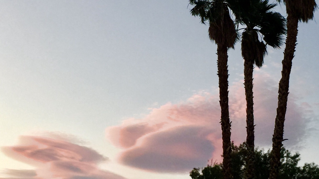 Photo of Outdoor in Borrego Springs
