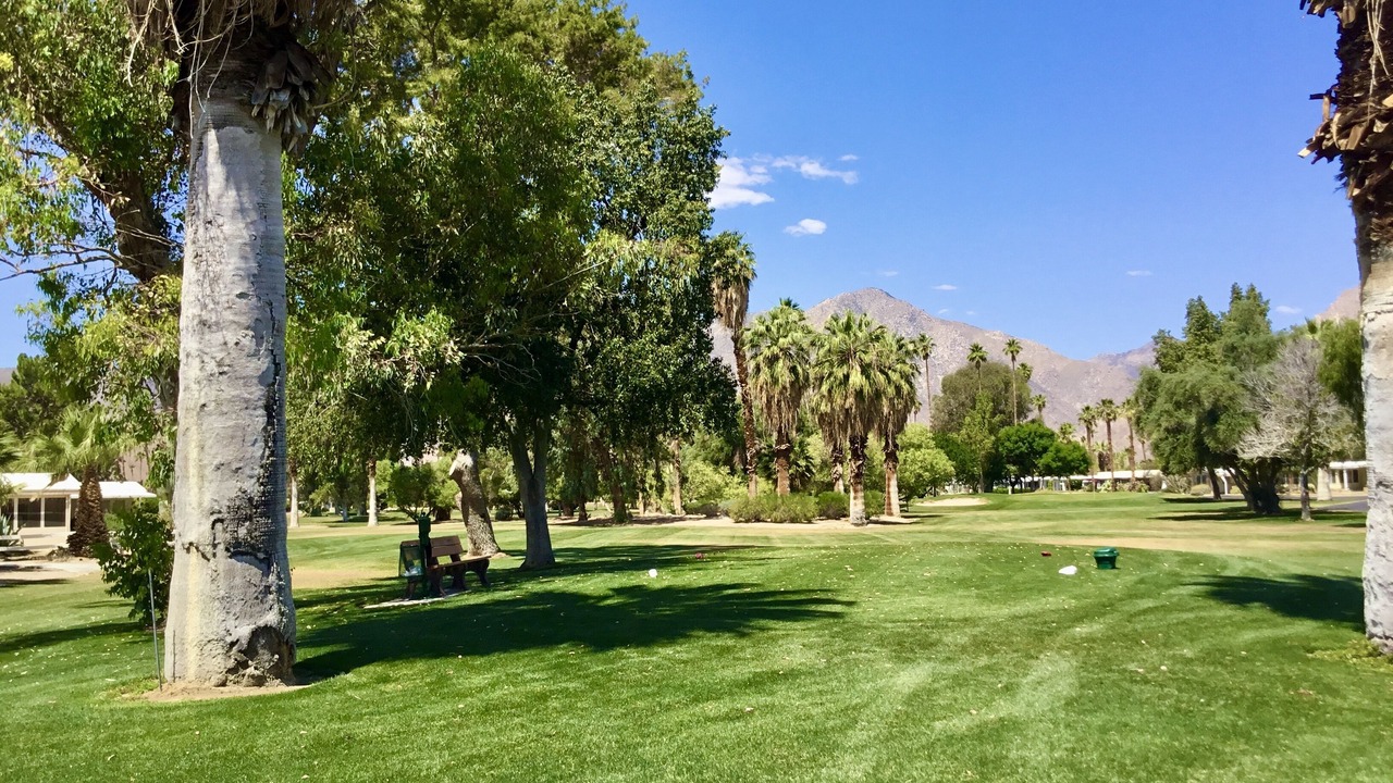 Photo of Others in Borrego Springs