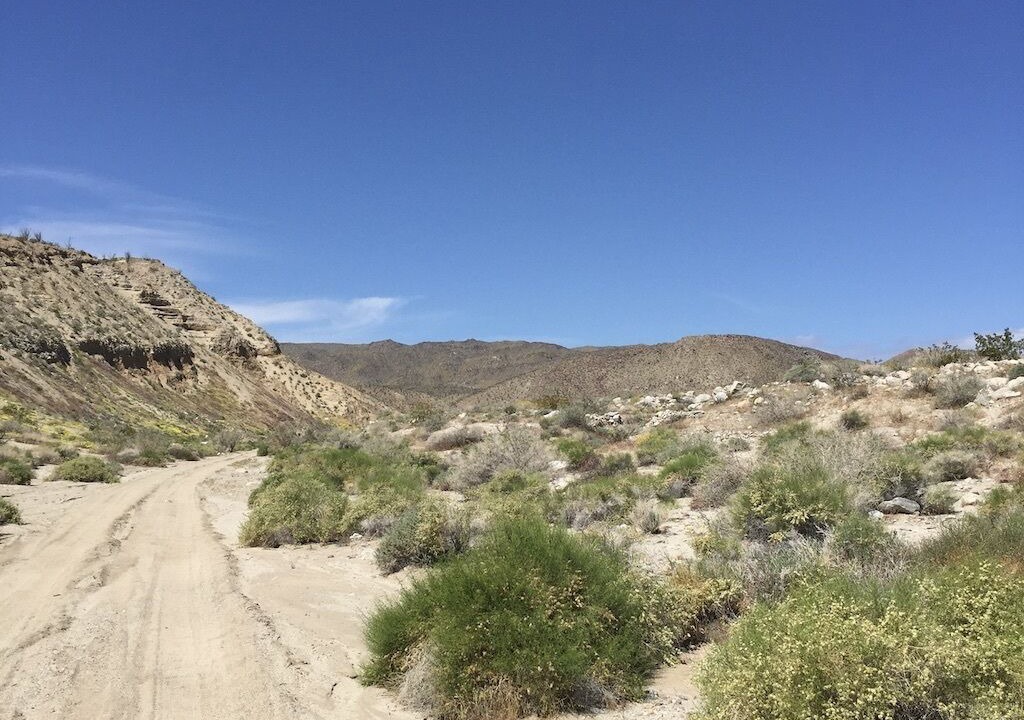 Photo of Outdoor in Borrego Springs